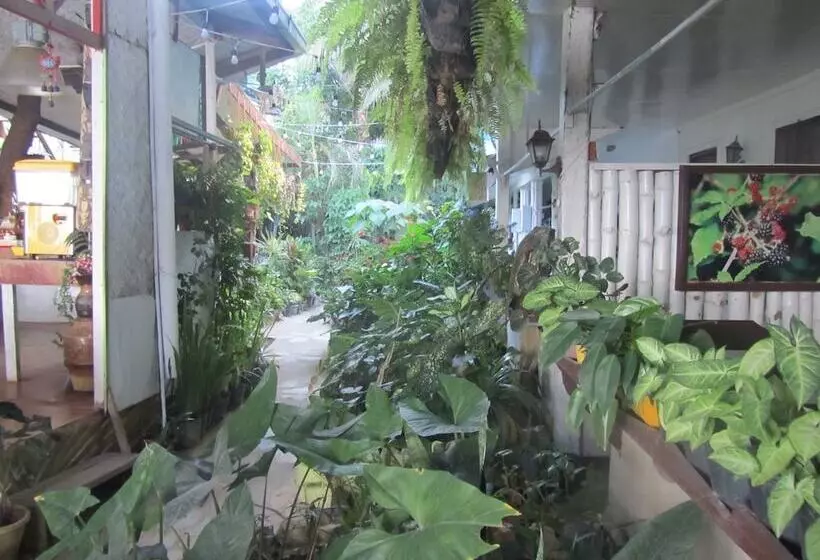 Fotos del hotel Islandfront Cottages:  20