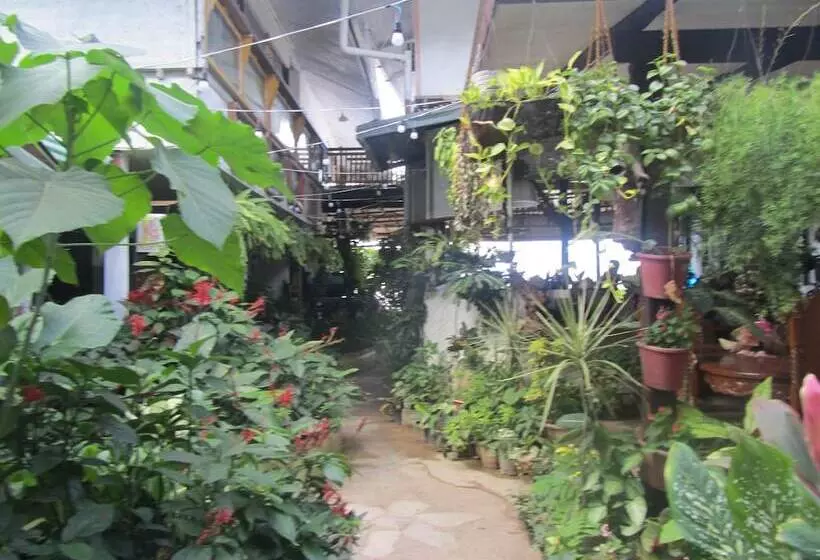 Islandfront Cottages