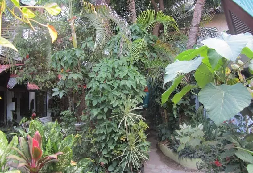 Fotos del hotel Islandfront Cottages:  24