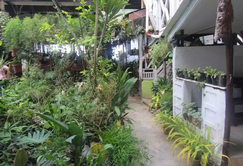 Fotos del hotel Islandfront Cottages:  9