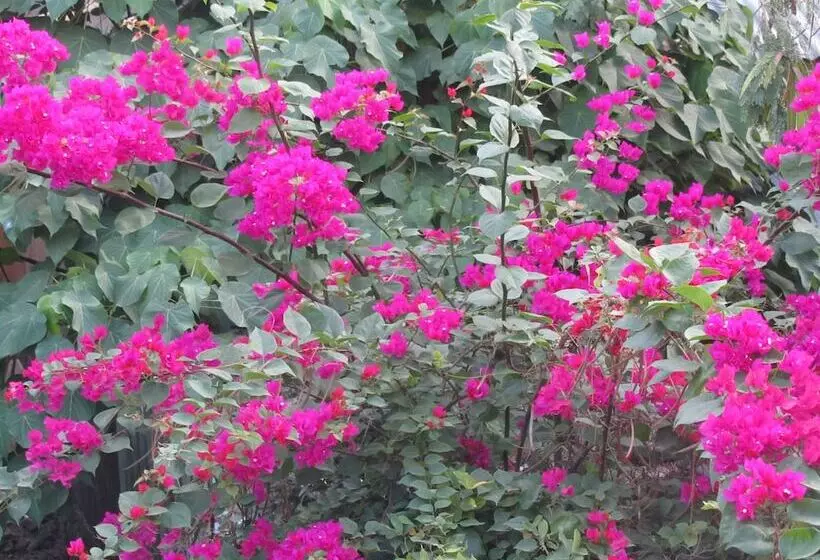 Fotos del hotel Islandfront Cottages:  5