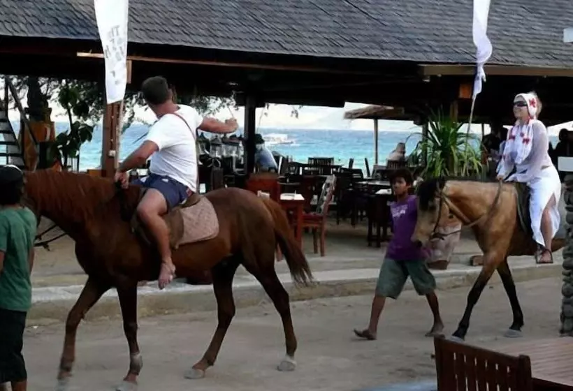 Fotos del hotel Gili T Resort:  6