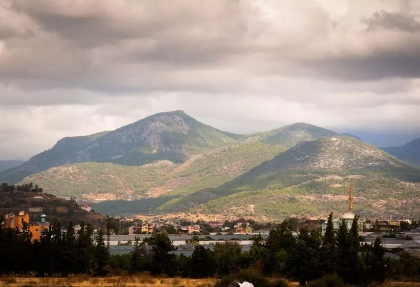 Fotos del hotel Koru Beach Club:  5