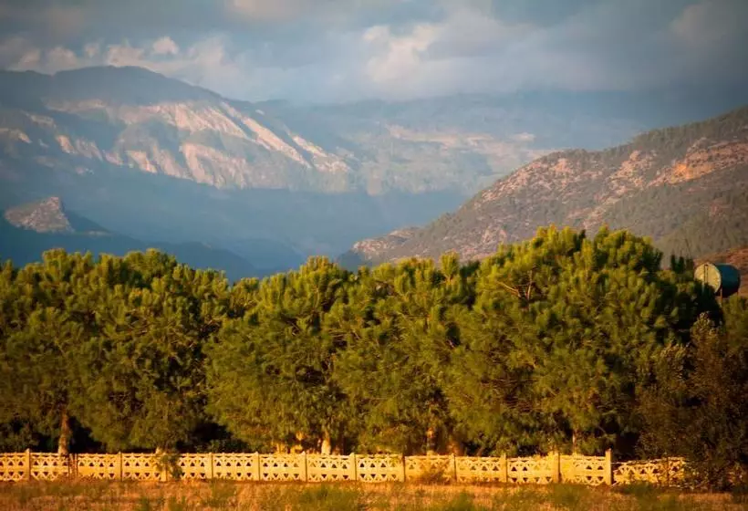 Fotos del hotel Koru Beach Club:  21