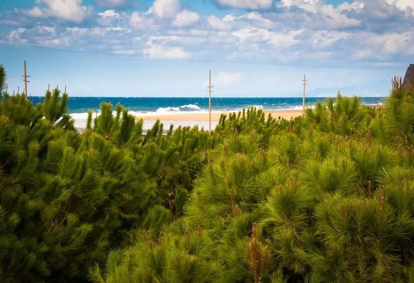 Fotos del hotel Koru Beach Club:  14