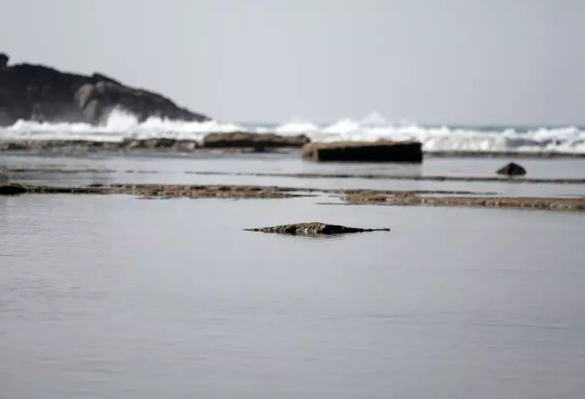 Fotos del hotel Koru Beach Club:  15