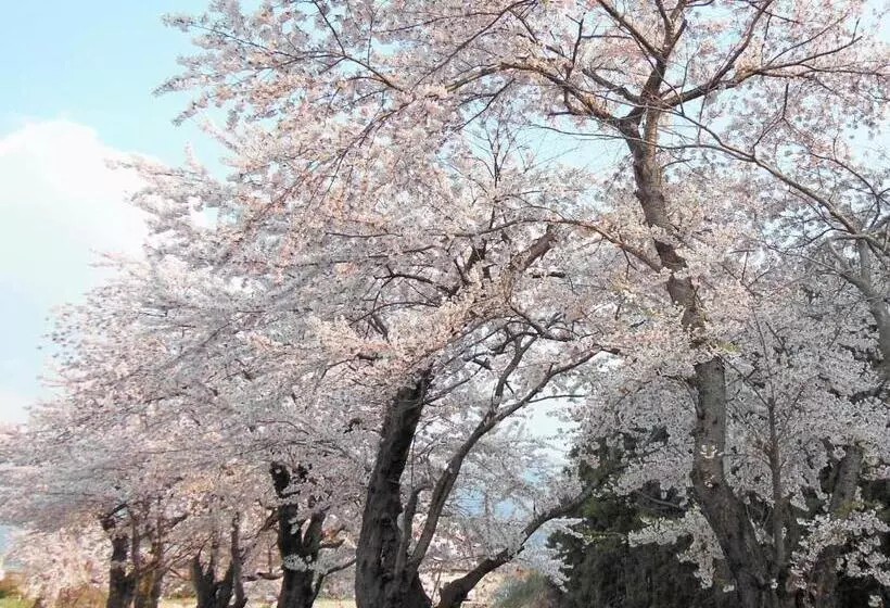 Fotos del hotel Tsubakino:  25