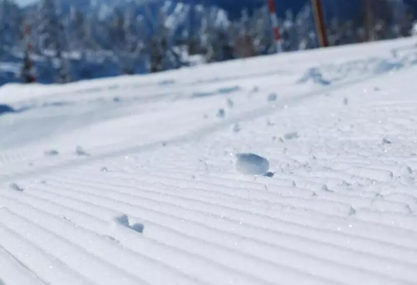 Fotos del hotel Tsubakino:  19