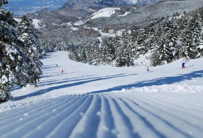 Fotos del hotel Tsubakino:  20