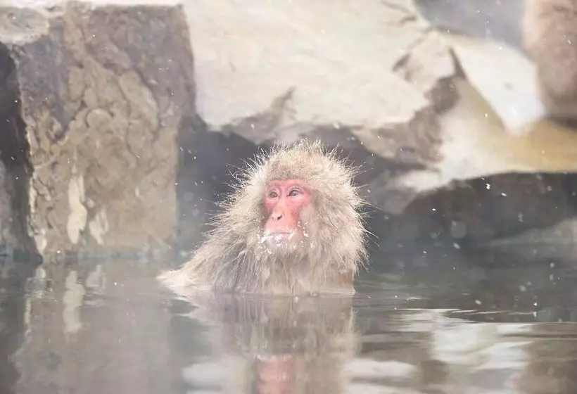 Fotos del hotel Tsubakino:  17