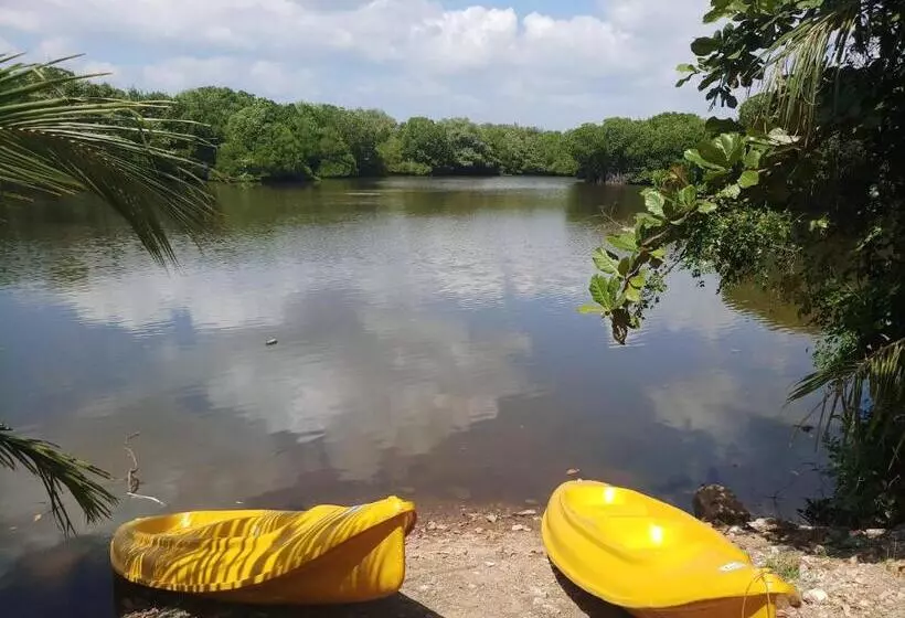 Fotos del hotel Ceylon Sea:  15