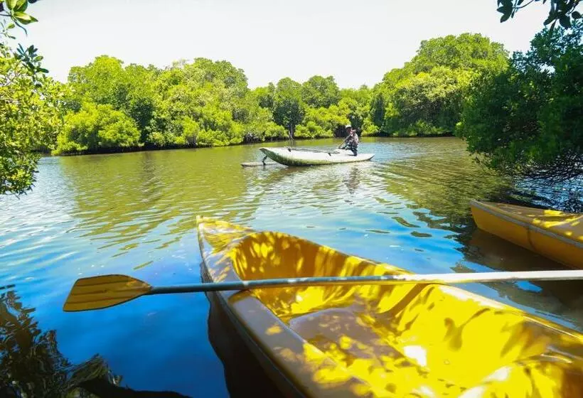 Fotos del hotel Ceylon Sea:  21