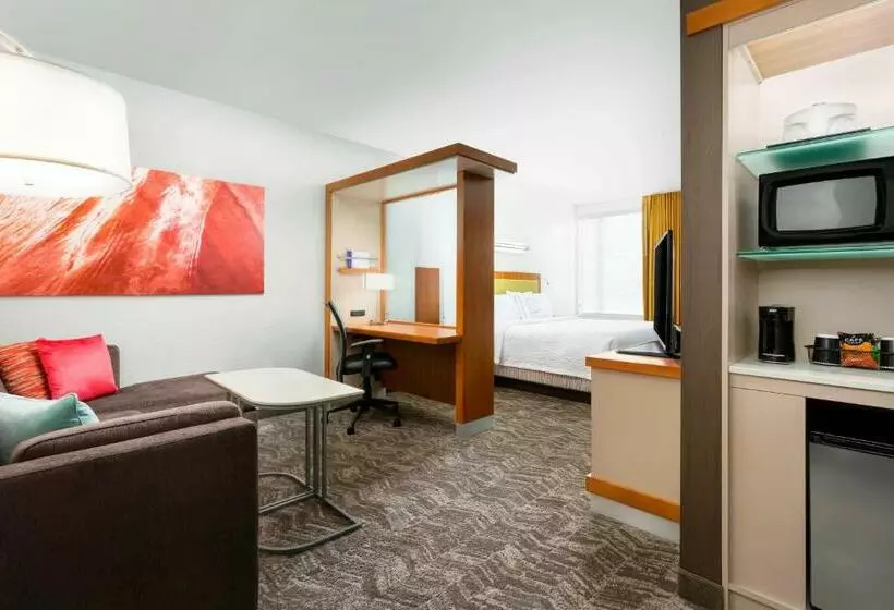 Fotos del hotel Springhill Suites By Marriott San Diego Mission Valley:  2