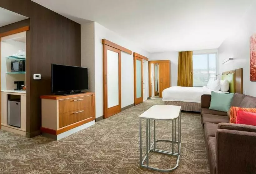 Fotos del hotel Springhill Suites By Marriott San Diego Mission Valley:  22
