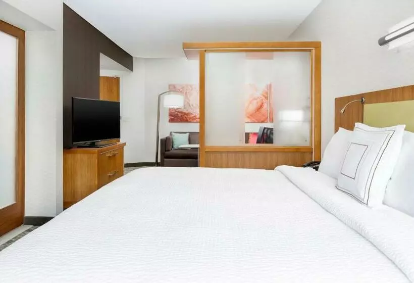 Fotos del hotel Springhill Suites By Marriott San Diego Mission Valley:  23