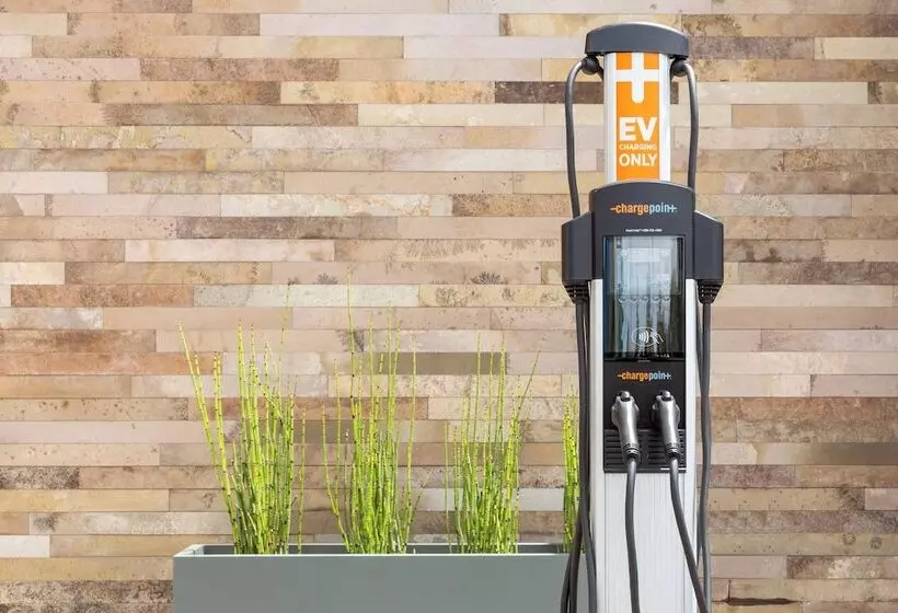 Fotos del hotel Springhill Suites By Marriott San Diego Mission Valley:  16