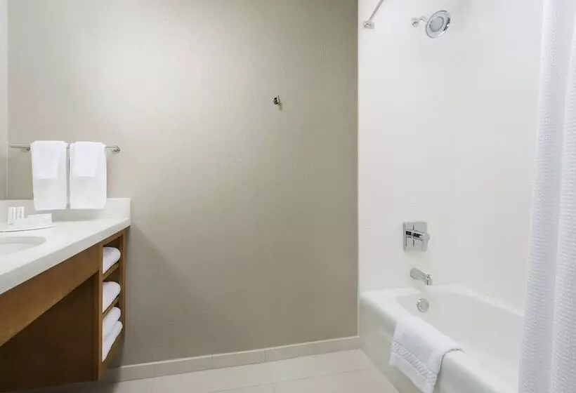 Fotos del hotel Springhill Suites By Marriott San Diego Mission Valley:  10