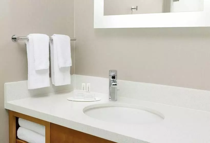 Fotos del hotel Springhill Suites By Marriott San Diego Mission Valley:  15