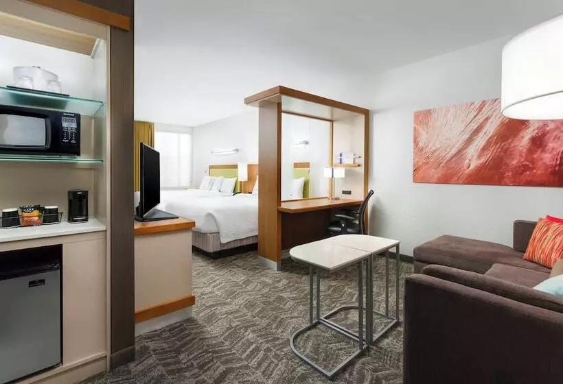 Fotos del hotel Springhill Suites By Marriott San Diego Mission Valley:  17