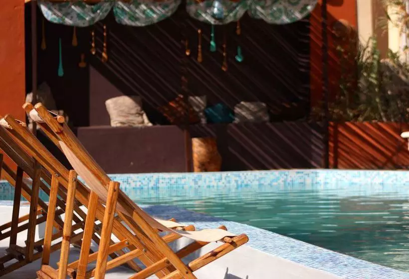 Fotos del hotel Madidi Lodge:  17