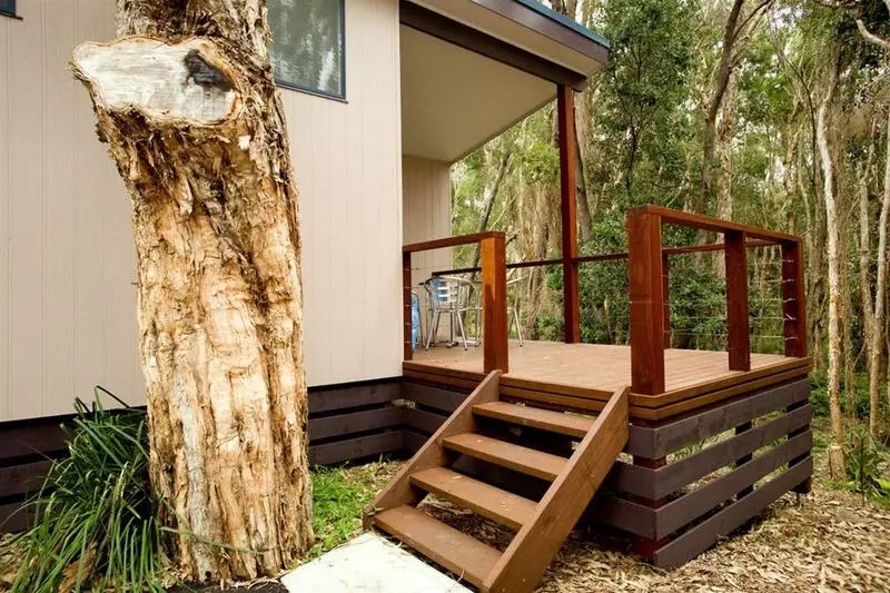 Fotos del hotel Discovery Holiday Parks - Emerald Beach:  9