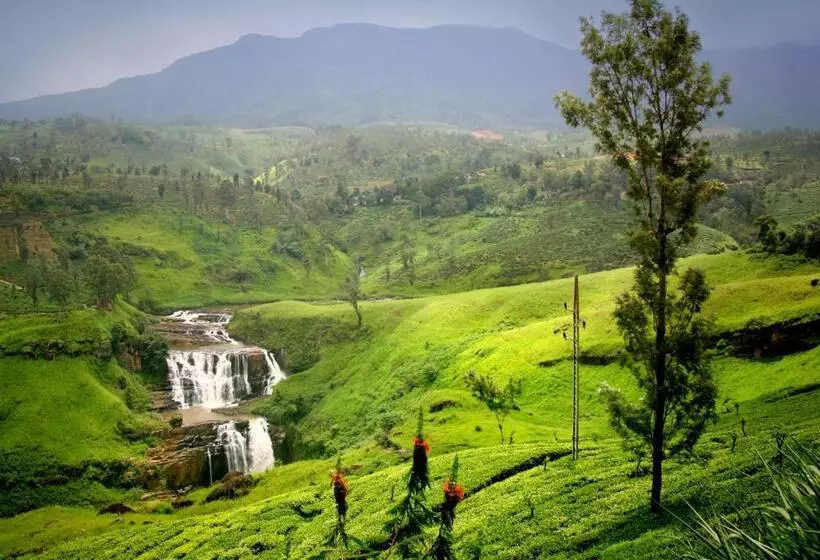 Fotos del hotel Oak Ray Summer Hill Breeze:  10