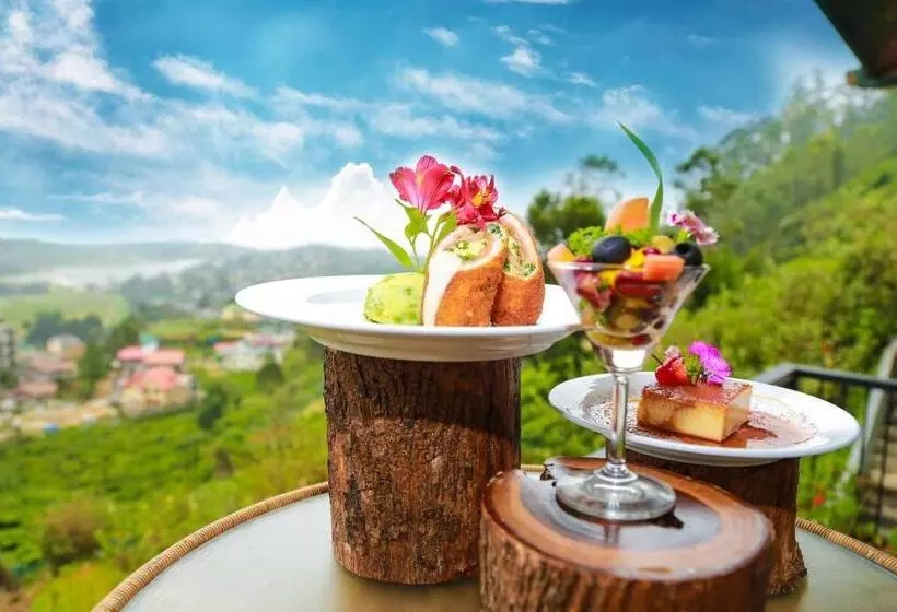 Fotos del hotel Oak Ray Summer Hill Breeze:  4