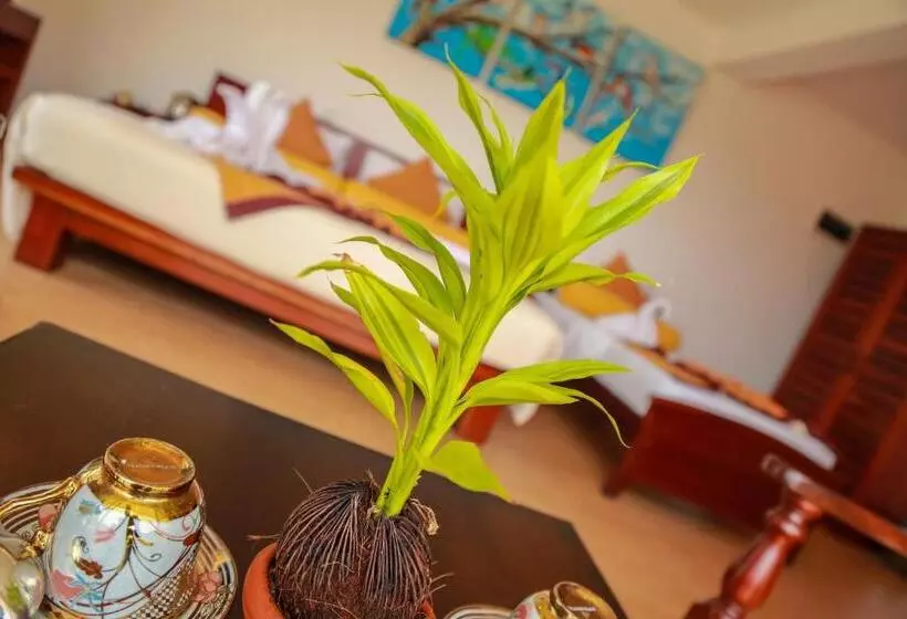 Fotos del hotel Oak Ray Summer Hill Breeze:  25