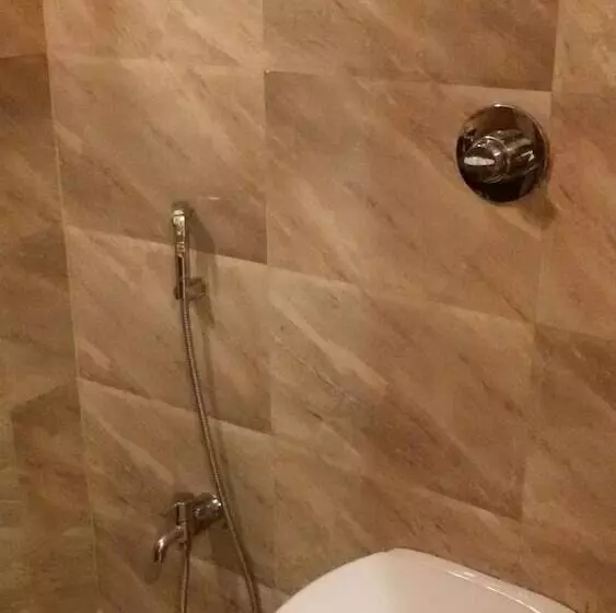 Fotos del hotel Janki International:  11