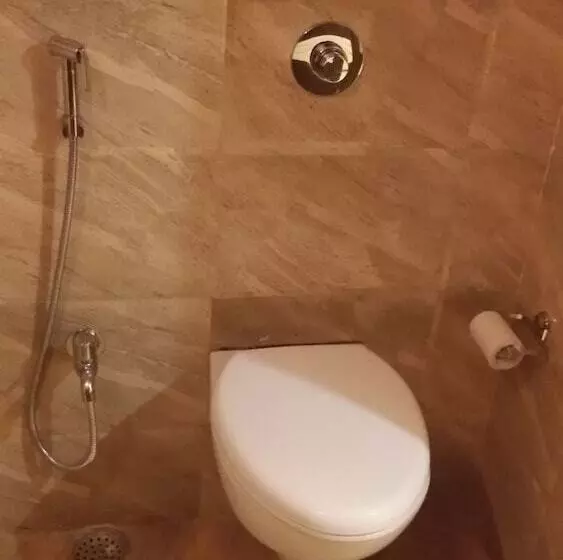 Fotos del hotel Janki International:  7