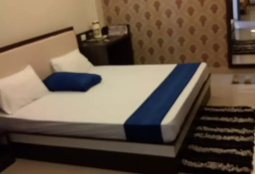 Fotos del hotel Janki International:  10