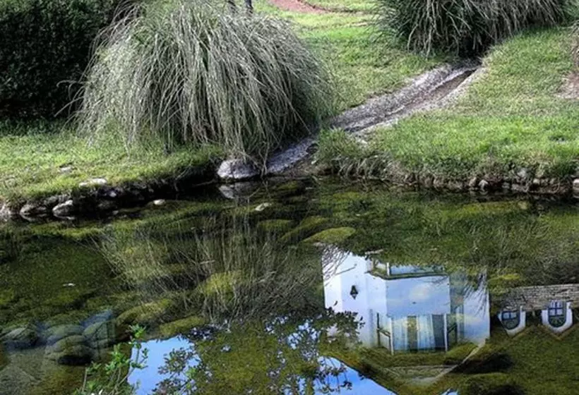 Fotos del hotel Rupu Pehuen Resort:  7