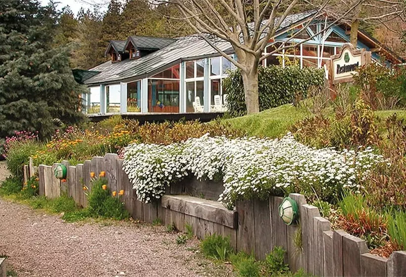 Fotos del hotel Rupu Pehuen Resort:  22