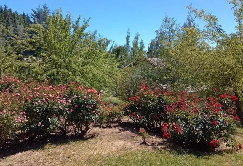 Fotos del hotel Rupu Pehuen Resort:  18