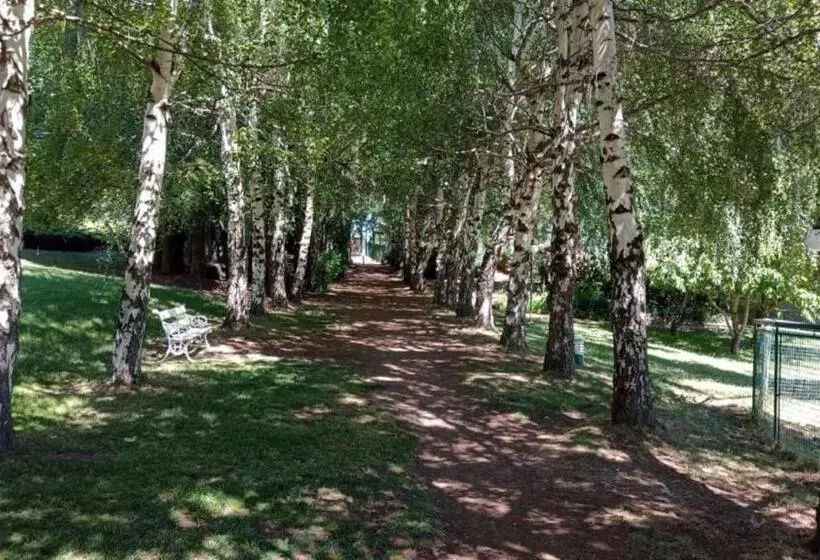 Fotos del hotel Rupu Pehuen Resort:  11