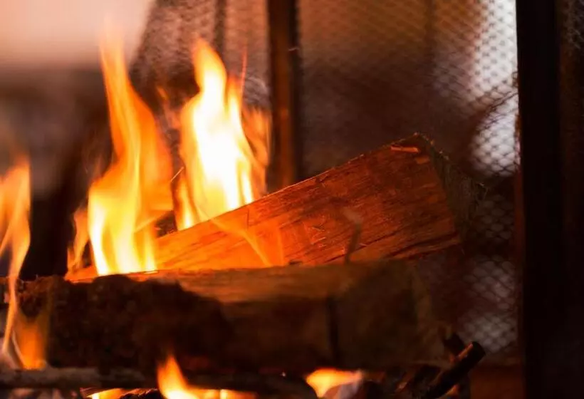 Fotos del hotel Shakespeare:  5