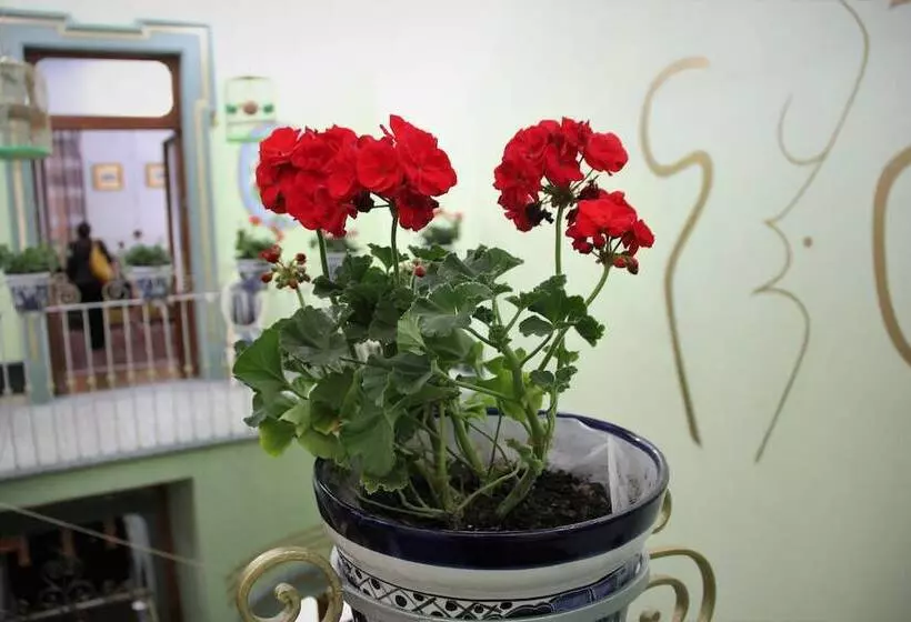 Fotos del hotel Small Luxury Hotel Azcami:  23