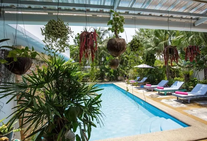 Fotos del hotel Elysia Boutique Resort:  2