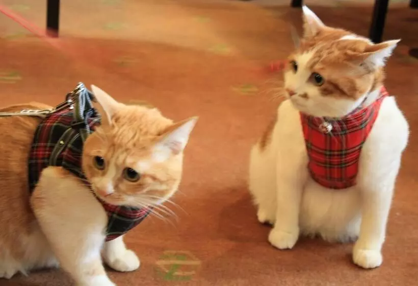 Fotos del hotel Nakatono:  5