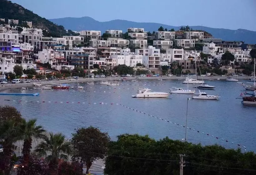 Fotos del hotel Angora:  6