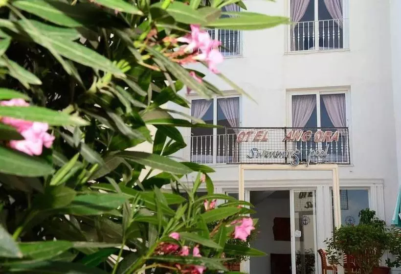 Fotos del hotel Angora:  21