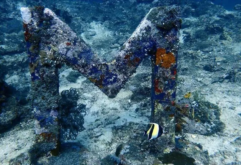 Fotos del hotel Oceans 5 Dive Resort:  7
