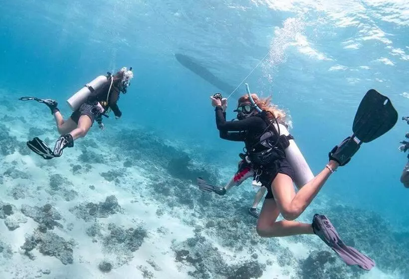 Fotos del hotel Oceans 5 Dive Resort:  11