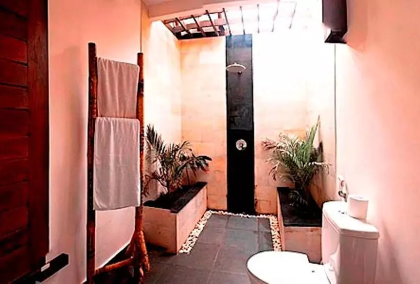 Fotos del hotel Oceans 5 Dive Resort:  5