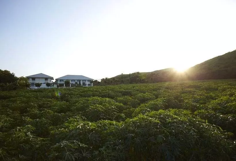 Fotos del hotel Santosha Health & Lifestyle Resort:  9