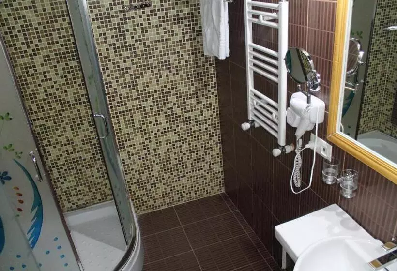 Fotos del hotel Borjomi Palace Health & Spa Center:  11