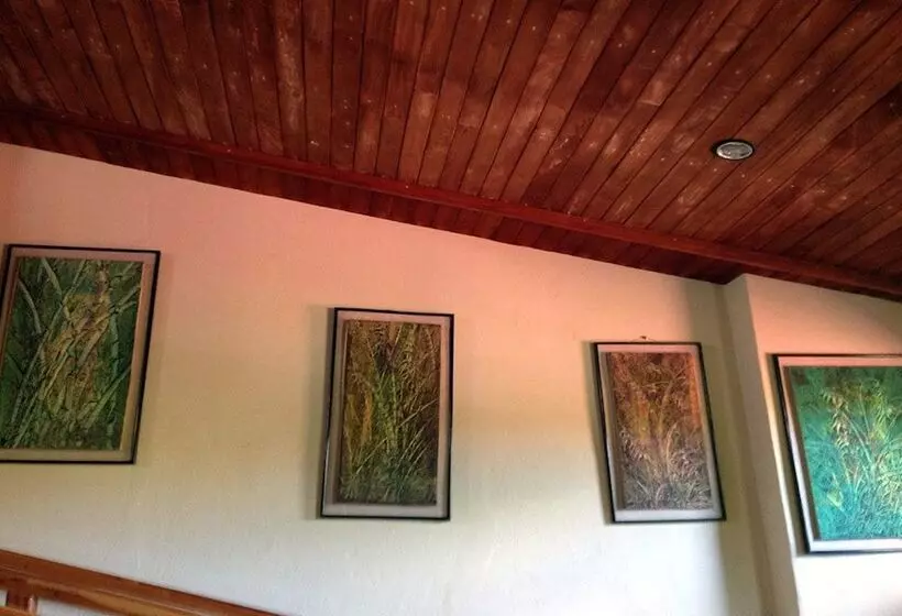 Fotos del hotel Central Park-managua:  4