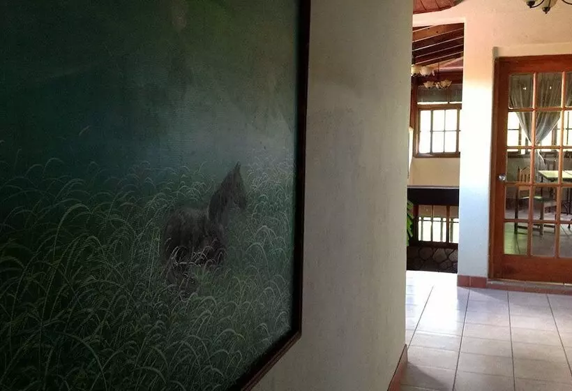 Fotos del hotel Central Park-managua:  15