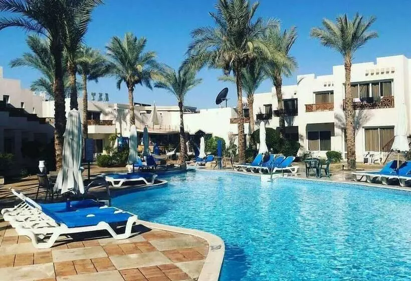 Fotos del hotel Le Mirage New Tiran:  2