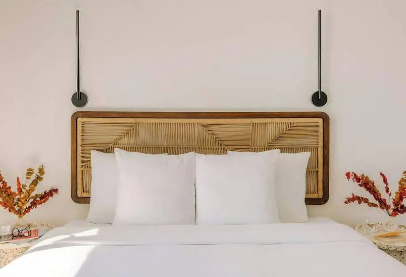 Fotos del hotel Hôtel Simone Cannes Centre:  20